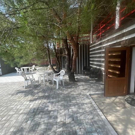 Mini-Hotel Forest Club Pizunda Exterior foto