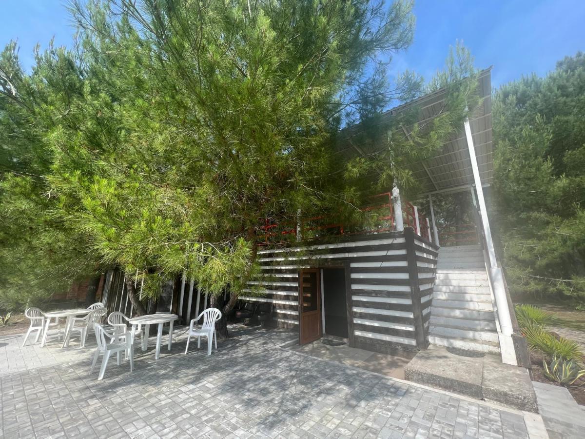 Mini-Hotel Forest Club Pizunda Exterior foto