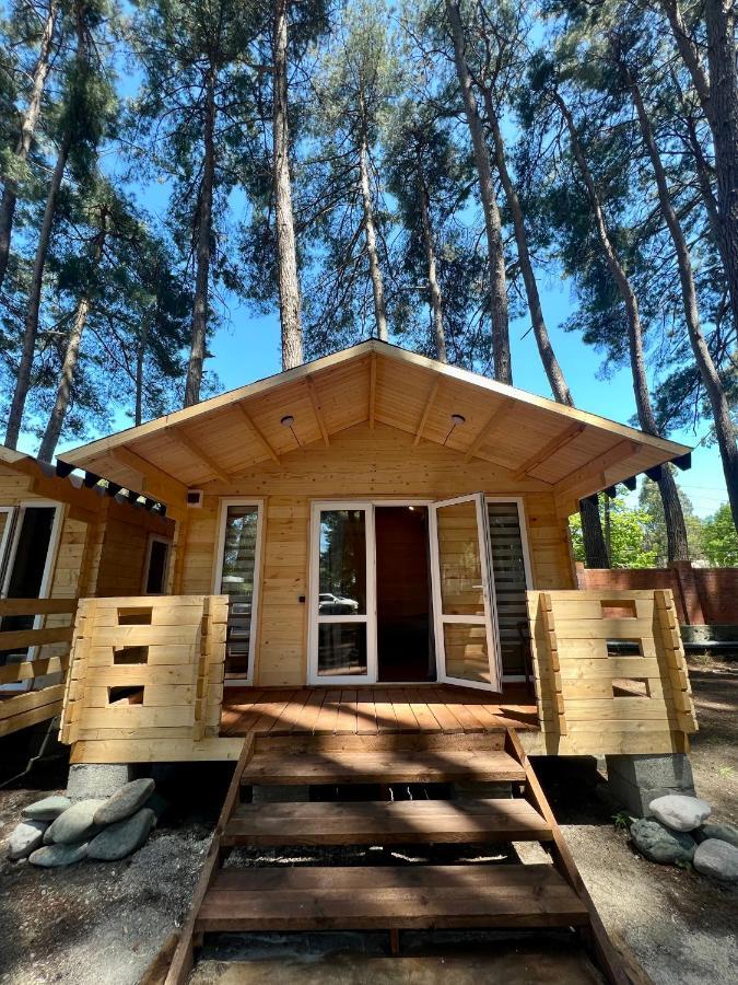 Mini-Hotel Forest Club Pizunda Exterior foto